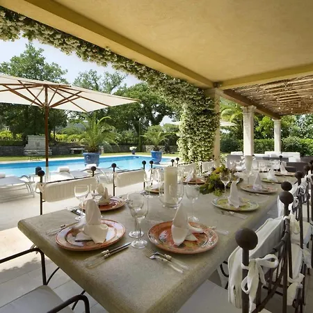 Beautiful 10 Quests In Tropez